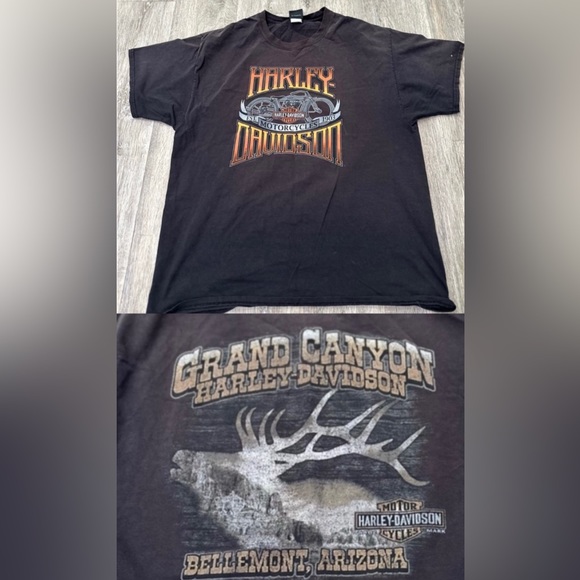 Harley Davidson Distressed Tee - Grand Canyon Yellowstone 🔥 XL - Picture 1 of 7